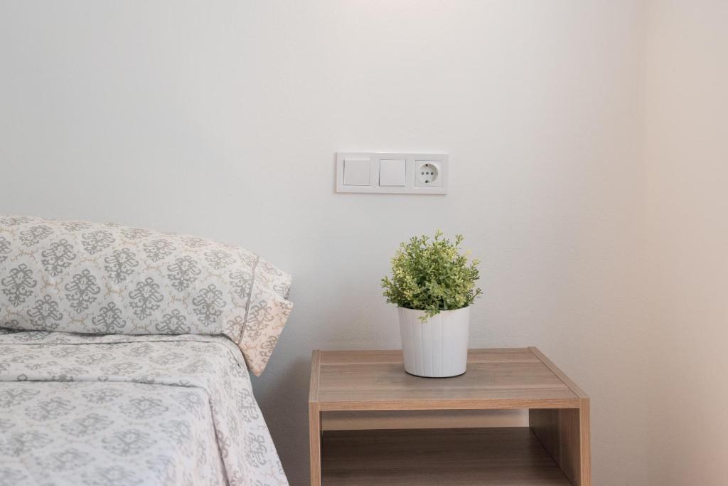 Ensanche Centro Apartment | Apartamento Historico Alameda de Colon
