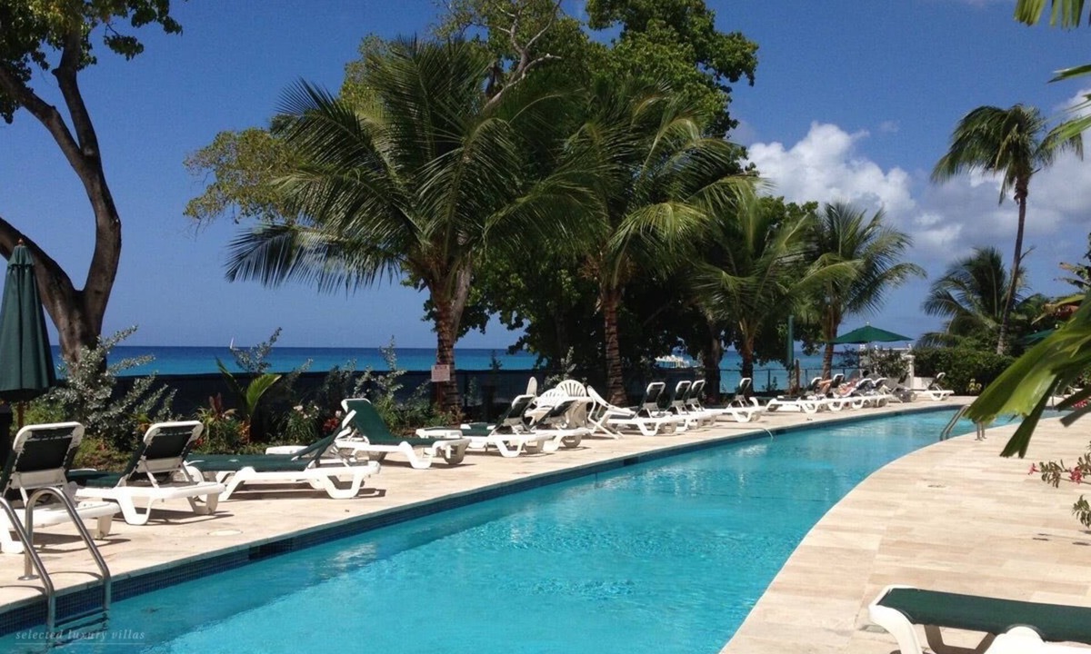 Old Trees Bay Condo | Beachfront, 2 Bedroom Condo.