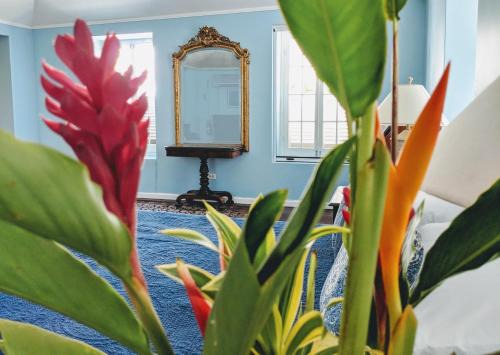 Clinketts House | Colleton Great House