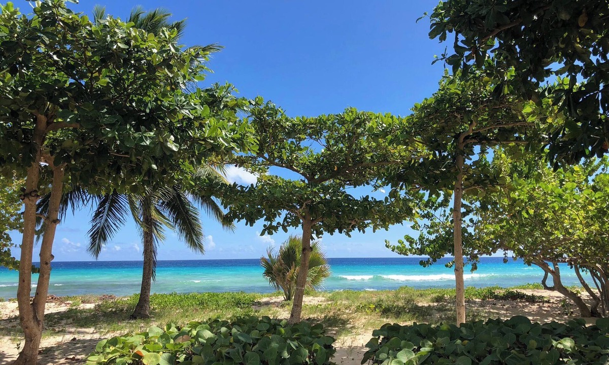Saint Matthias Condo | PALM BEACH - TROPICAL PARADISE ON THE BEACH