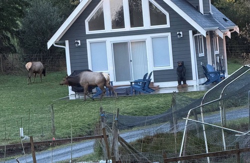 Sooke House | Elk Lodge in Sooke
