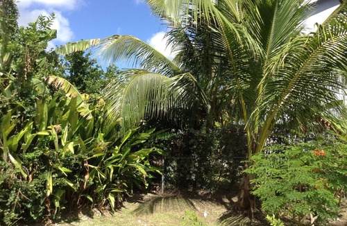 Douglas Apartment | SilverDollar 1 - 200 meters from Heywoods Beach