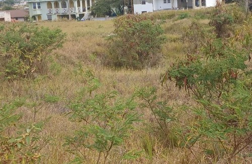 Saint Marks House | Vacant Land