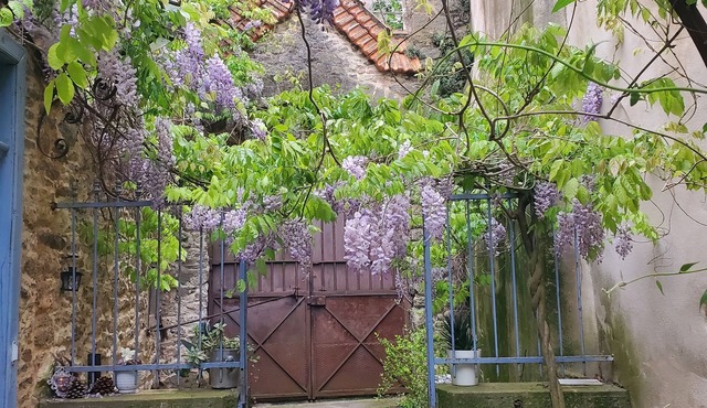 Authentic, family-run B&B 10 minutes from Carcassonne. in Conques-sur-Orbiel