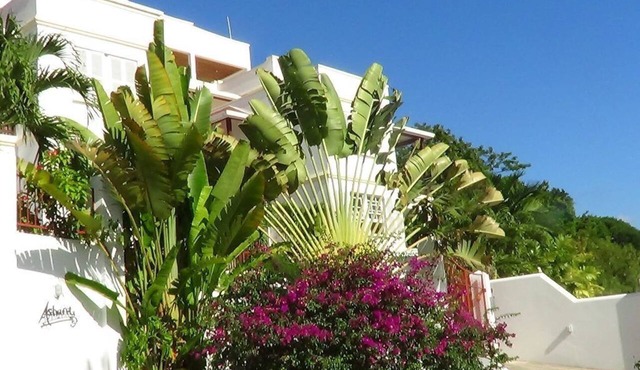 Beach Walk | 3 Bed family Condo walking distance to Gibbes & Mullins Beach