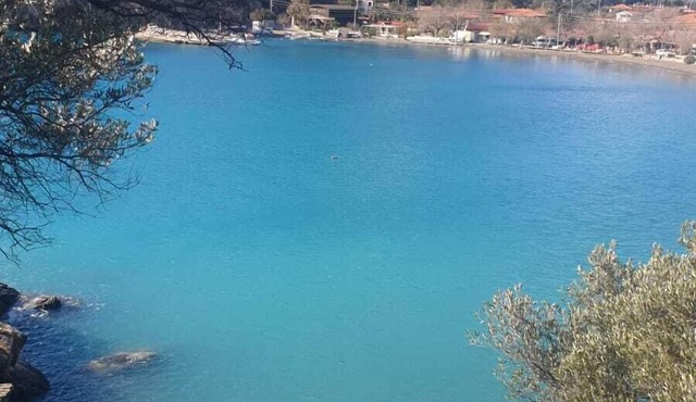 Detached villa in Datça