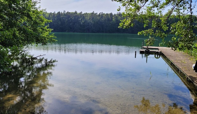 Idyllically situated forester's lodge on the lake with jetty, secluded location in Lychen