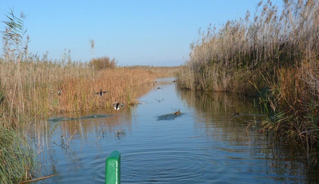Luxury Beach House in the Albufera Nature Park in València