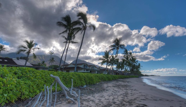 OCEANFRONT PUAMANA 136-1 - FUN IN THE SUN! in Lahaina
