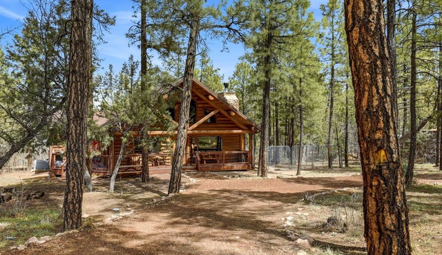 Private Dog Friendly Log Cabin on 2 Acres No Front Neighbors in Lakeside