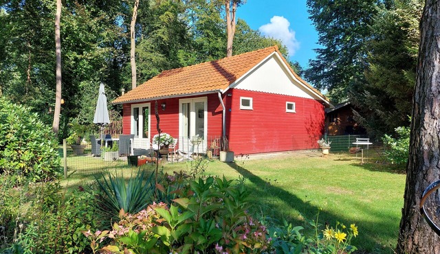 Quietly located, cozy holiday home in a wooded area for 4 people. in Maarn