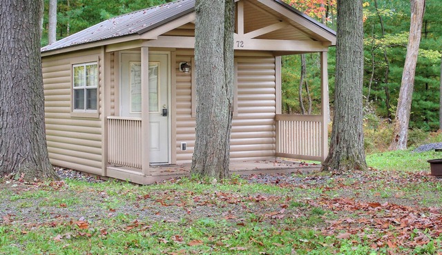 Rustic Cabin 27 w/4 Beds in Spring Mills