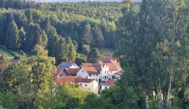 Superior - Ferienhaus am Engelsbach mit Pool im Thüringer Wald in Leinatal