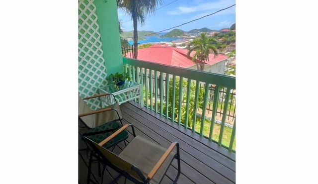The Green Iguana Hotel in Charlotte Amalie