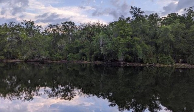 Tranquil, Riverfront 3-bedroom Tampa home near USF & Busch Gardens in Tampa