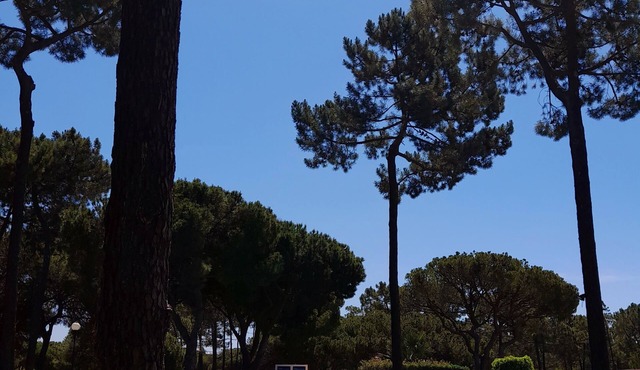 VILA PLANALTO -GOLF- Between golf and the sea in Vilamoura