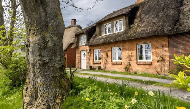 Westertilli 8 – Thatched-Roof House with Romantic Garden in Pellworm