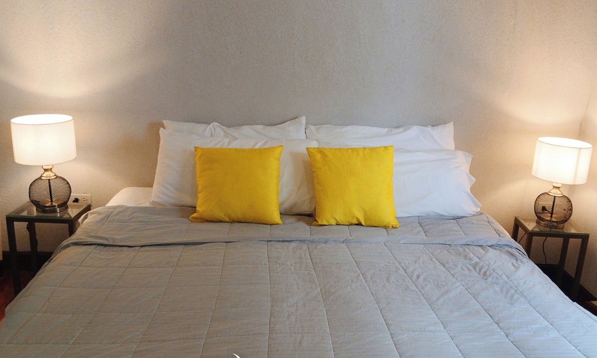 Old Trees Bay Apartment | Annabelle's Apartments