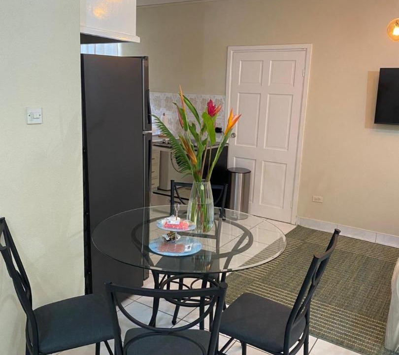 Oistins Apartment | Comfy, Spacious Apartment near the beach