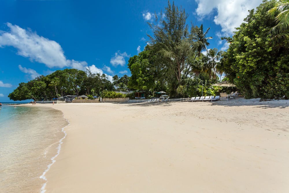 Photo of Others in Old Trees Bay