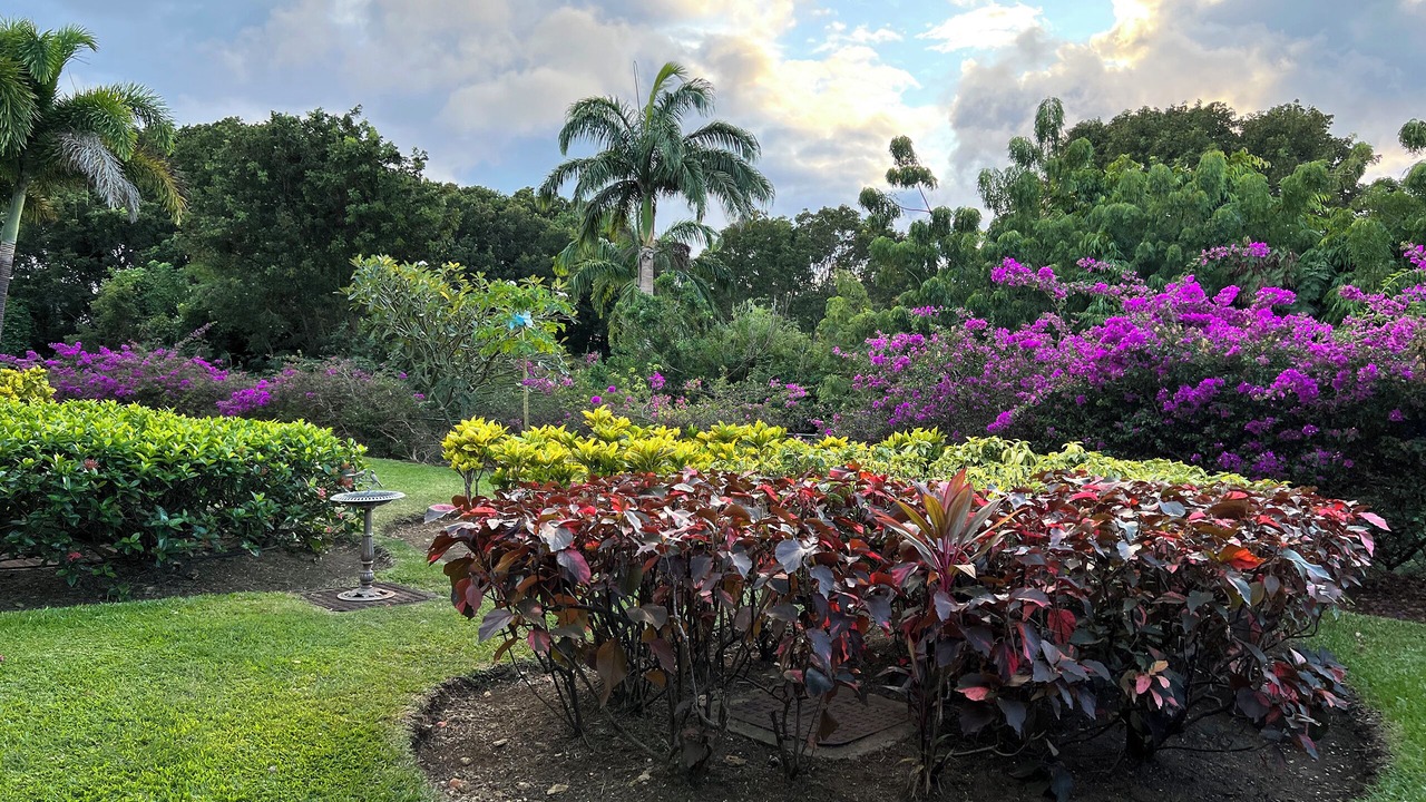 Photo of Outdoor in Westmoreland