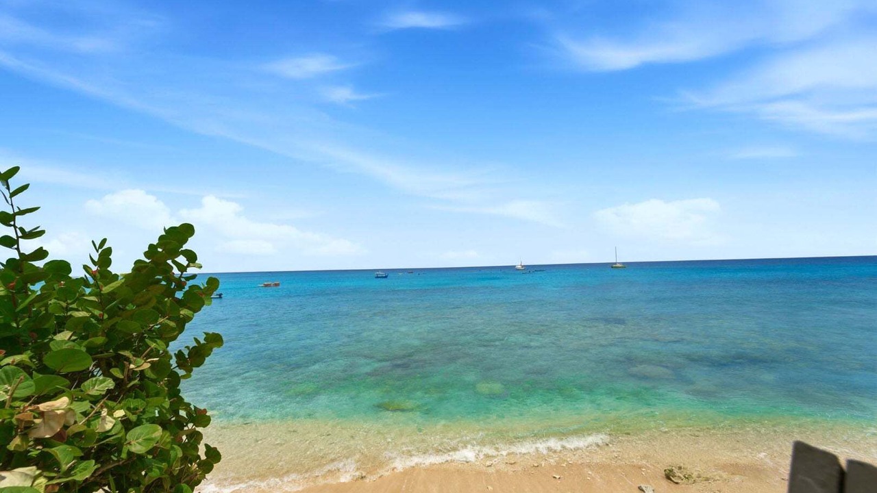 Photo of Others in Old Trees Bay