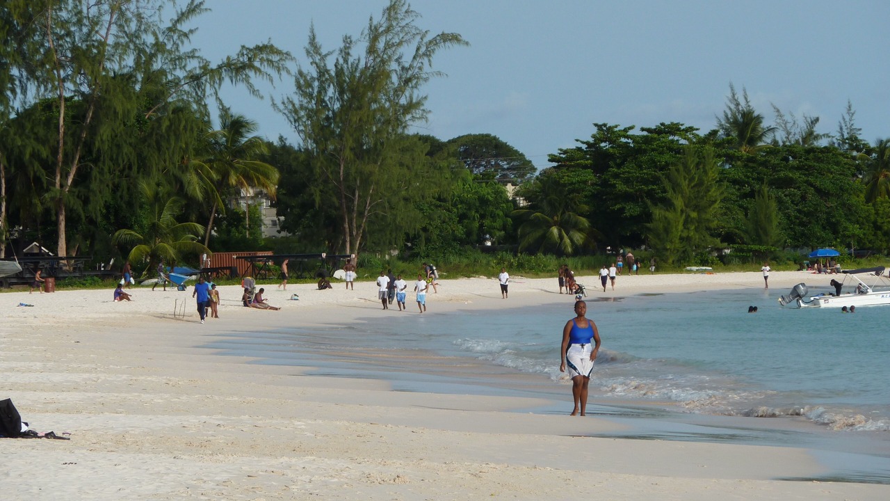 Photo of Others in St. Lawrence Gap