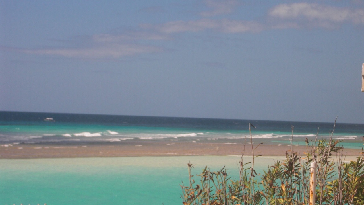 Photo of Others in St. Lawrence Gap