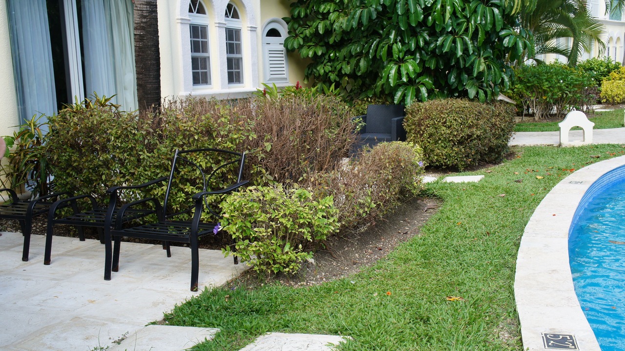 Photo of Outdoor in Dover