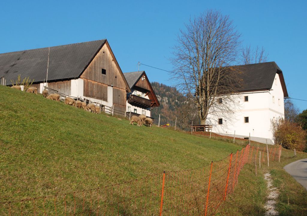 Photo of Outdoor in Vorderstoder