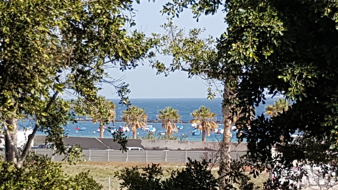 Photo of Outdoor in San Andres