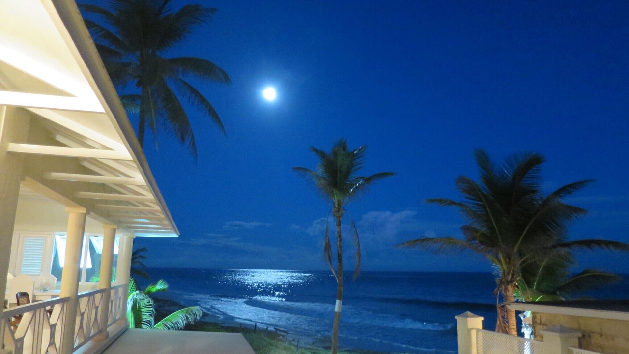 Photo of Outdoor in Silver Sands