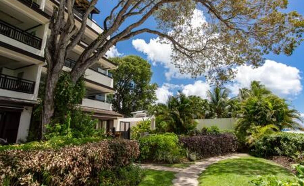 Photo of Outdoor in Old Trees Bay