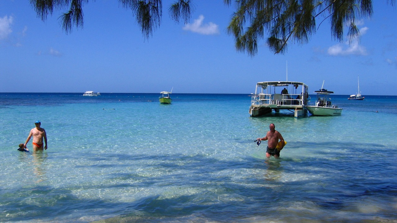 Photo of Others in Old Trees Bay