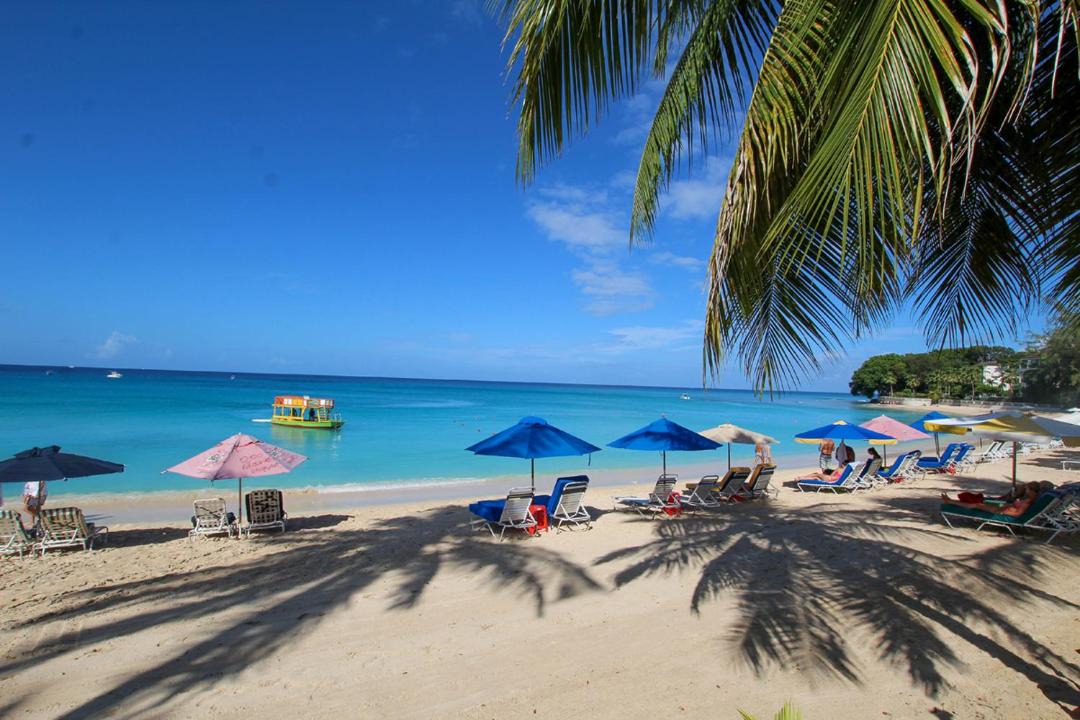 Photo of Others in Old Trees Bay