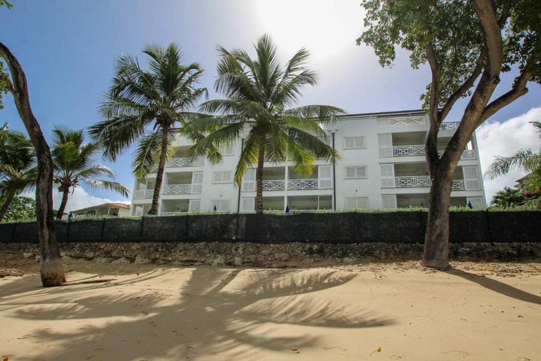 Photo of Others in Old Trees Bay