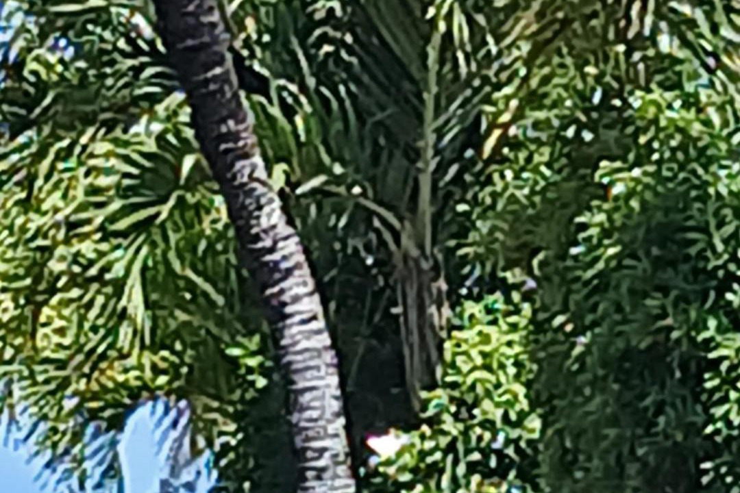 Photo of Others in Fitts Village