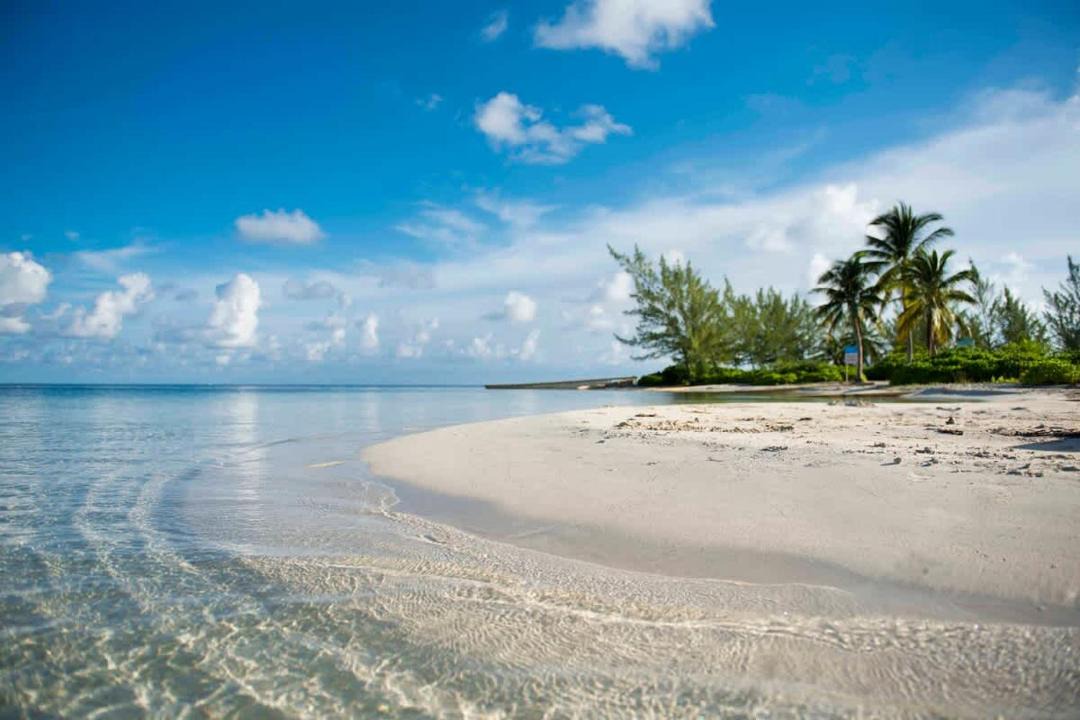 Photo of Others in Rum Point