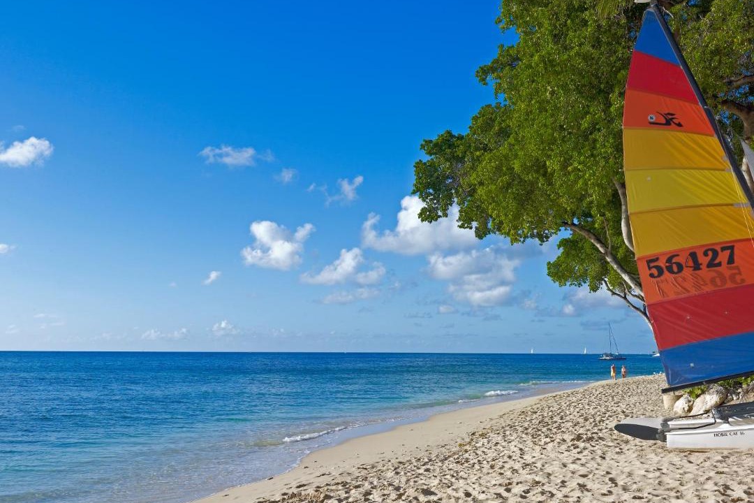 Photo of Others in Old Trees Bay