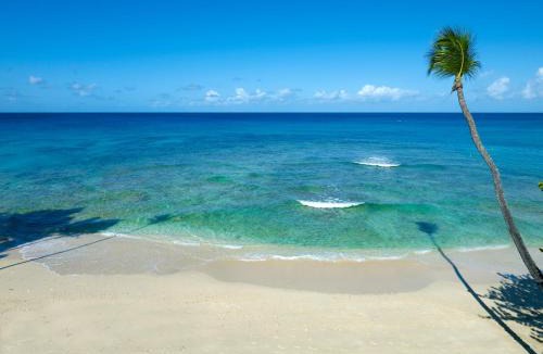 Old Trees Bay Resort | Tamarind, Barbados, An Autograph Collection All-Inclusive Resort