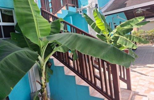 Dover Apartment | BLR Villas Dover Beach