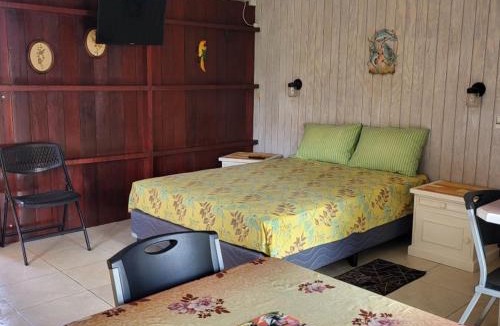 Dover House | Dolphin Inn Guesthouse & Apartments
