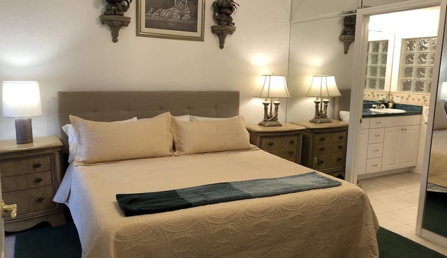 Sky View Mirrors King Bed - The Fountains in Lutz