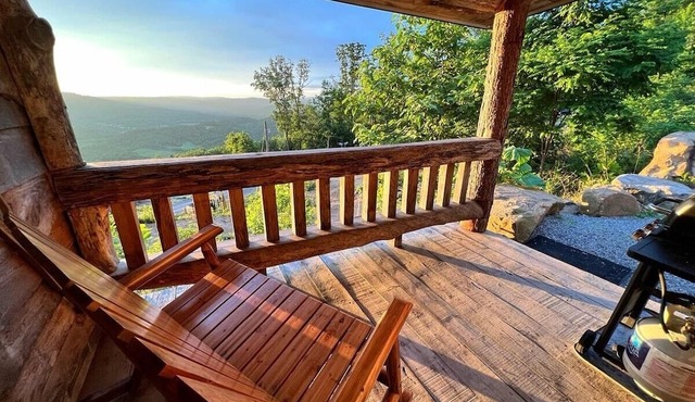 Tree Top View in Rising Fawn
